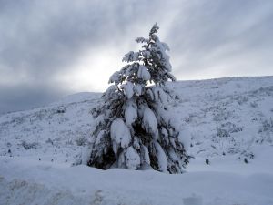 Coping with Extreme Weather Conditions