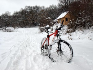 a bike in the snow