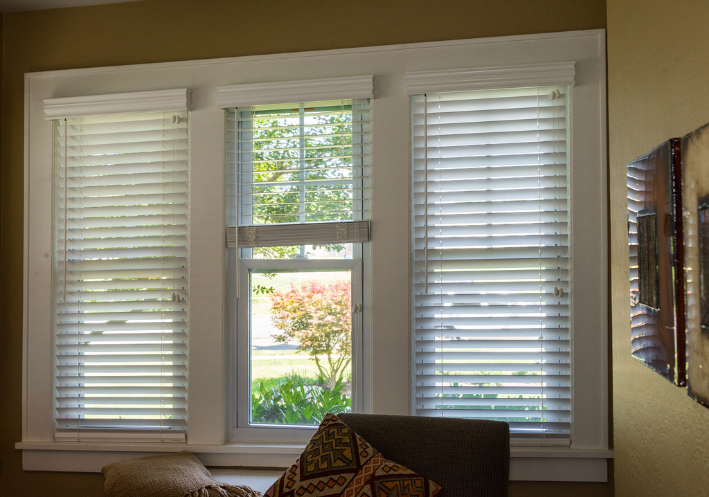 blinds for the windows 